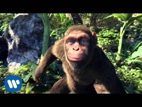 singe meaning singe meaning